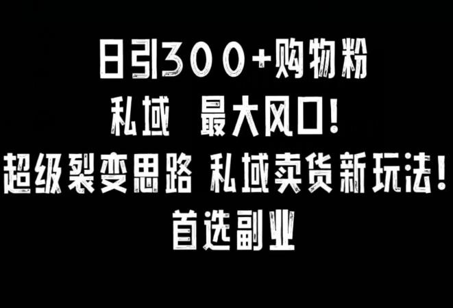 日引300+购物粉，超级裂变思路，私域卖货新玩法，小红书首选副业【揭秘】-策里行间