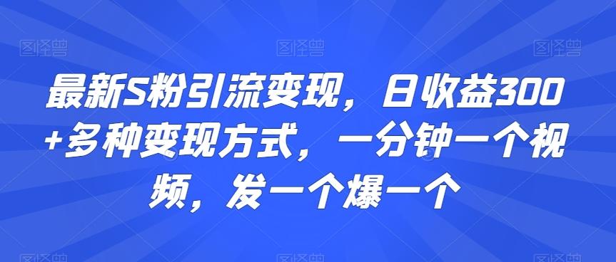 最新S粉引流变现，日收益300+多种变现方式，一分钟一个视频，发一个爆一个【揭秘】-策里行间