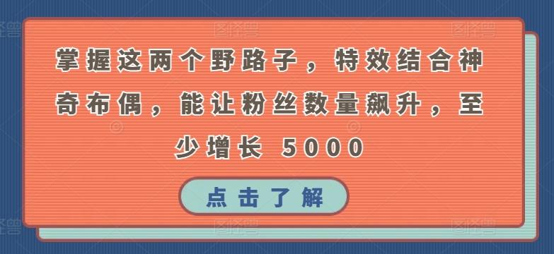 掌握这两个野路子，特效结合神奇布偶，能让粉丝数量飙升，至少增长 5000【揭秘】-策里行间