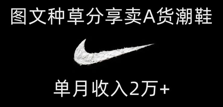 靠图文种草分享卖A货潮鞋，每天一小时，单月收入2万+【揭秘】-策里行间