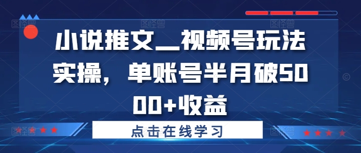 小说推文—视频号玩法实操，单账号半月破5000+收益-策里行间