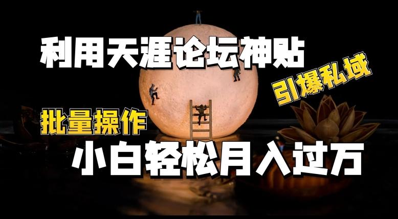 利用天涯论坛神贴，引爆私域，批量操作，小白轻松月入过w【揭秘】-策里行间