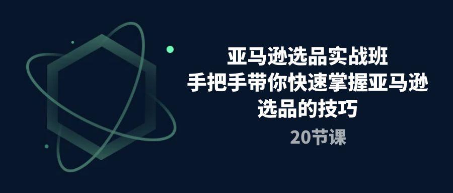 亚马逊选品实战班，手把手带你快速掌握亚马逊选品的技巧(20节课-策里行间