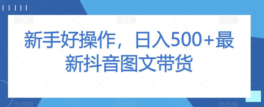 新手好操作，日入500+最新抖音图文带货【揭秘】-策里行间