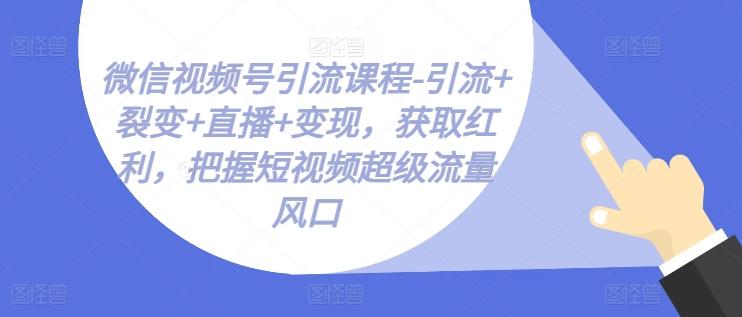 微信视频号引流课程-引流+裂变+直播+变现，获取红利，把握短视频超级流量风口-策里行间