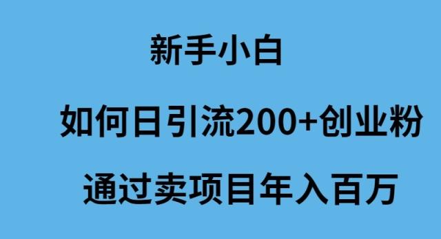 (9668期)新手小白如何日引流200+创业粉通过卖项目年入百万-策里行间