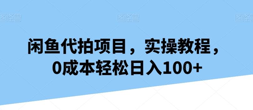 闲鱼代拍项目，实操教程，0成本轻松日入100+-策里行间