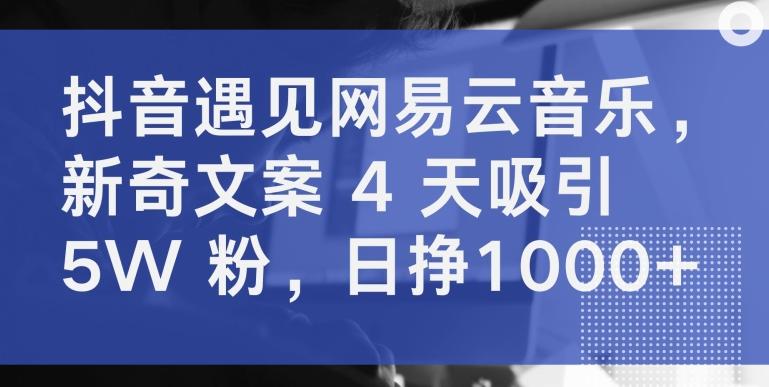 抖音遇见网易云音乐，新奇文案 4 天吸引 5W 粉，日挣1000+【揭秘】-策里行间