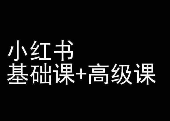小红书基础课+高级课-小红书运营教程-策里行间