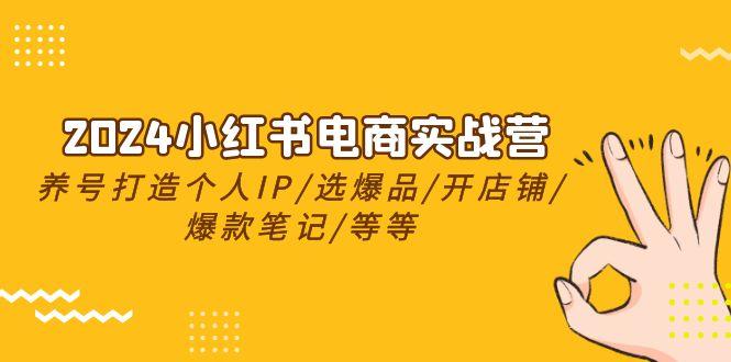 2024小红书电商实战营，养号打造IP/选爆品/开店铺/爆款笔记/等等(24节)-策里行间
