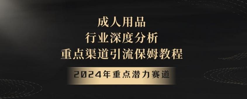 2024年重点潜力赛道，成人用品行业深度分析，重点渠道引流保姆教程【揭秘】-策里行间
