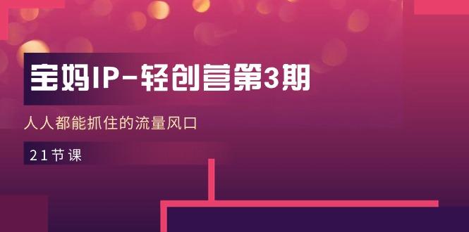 宝妈IP-轻创营第3期，人人都能抓住的流量风口(21节课-策里行间