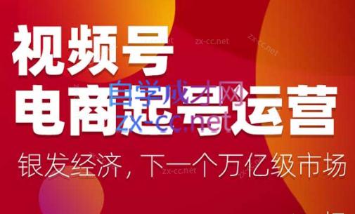 陈大黑牛·视频号电商起号运营课(更新到24年5月)-策里行间