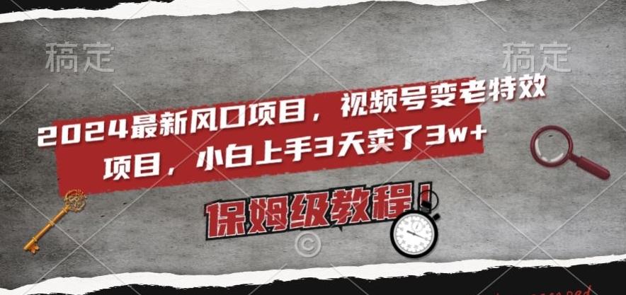 2024最新风口项目，视频号变老特效项目，电脑小白上手3天卖了3w+，保姆级教程【揭秘】-策里行间