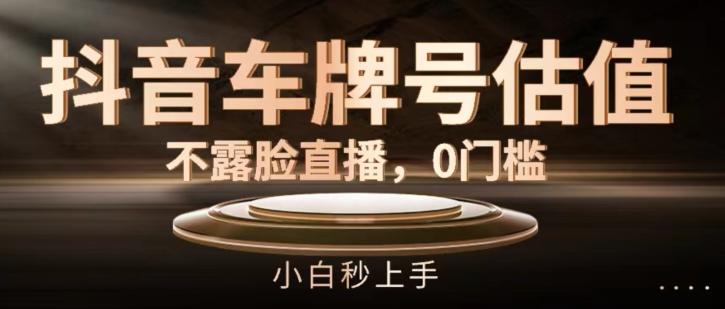 抖音车牌号估值，不露脸直播，0门槛，小白秒上手【揭秘】-策里行间