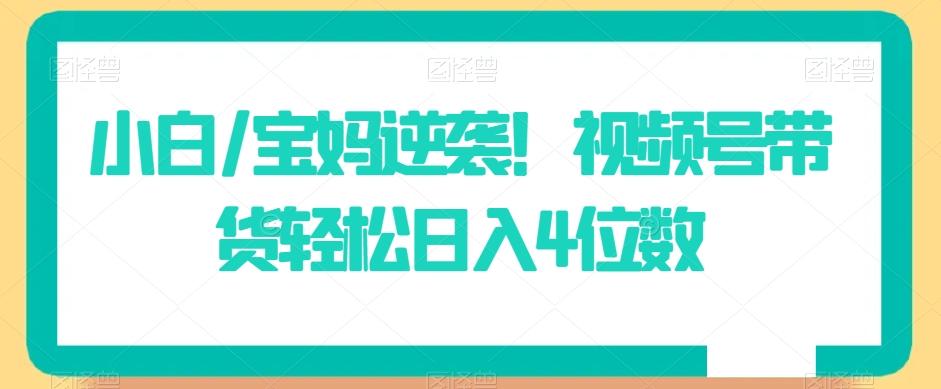 小白/宝妈逆袭！视频号带货轻松日入4位数【揭秘】-策里行间
