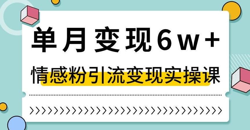 单月变现6W+，抖音情感粉引流变现实操课，小白可做，轻松上手，独家赛道【揭秘】-策里行间