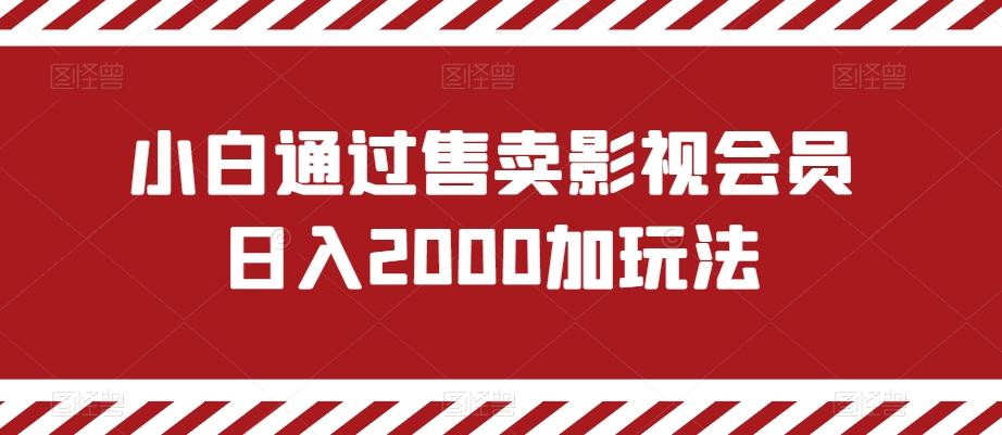 小白通过售卖影视会员日入2000加玩法-策里行间
