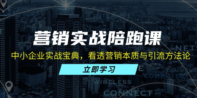 营销实战陪跑课：中小企业实战宝典，看透营销本质与引流方法论-策里行间