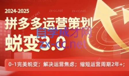 大力老师·2024拼多多运营策略蜕变3.0-策里行间