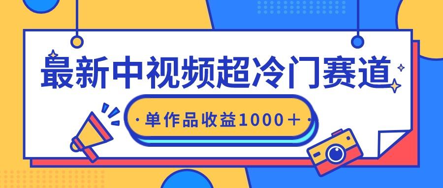 (9275期)最新中视频超冷门赛道，轻松过原创，单条视频收益1000＋-策里行间