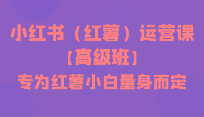 小红书(红薯)运营课【高级班】，专为红薯小白量身而定(42节课)-策里行间
