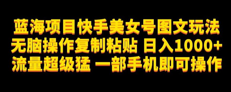 蓝海项目快手美女号图文玩法，无脑操作复制粘贴，日入1000+流量超级猛一部手机即可操作【揭秘】-策里行间