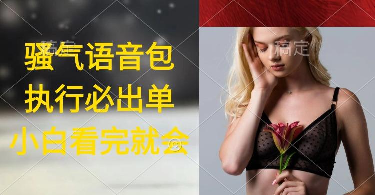 (9589期)执行就出单，日入2000+，超火骚气语音包，小白看完课程就能马上实操-策里行间
