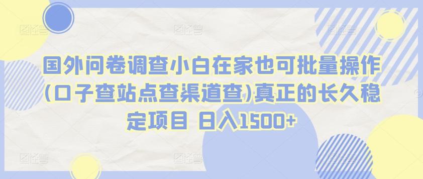 国外问卷调查小白在家也可批量操作(口子查站点查渠道查)真正的长久稳定项目 日入1500+【揭秘】-策里行间