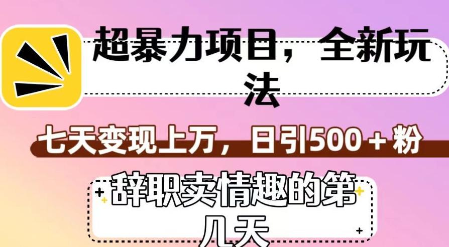 超暴利项目，全新玩法（辞职卖情趣的第几天），七天变现上万，日引500+粉【揭秘】-策里行间