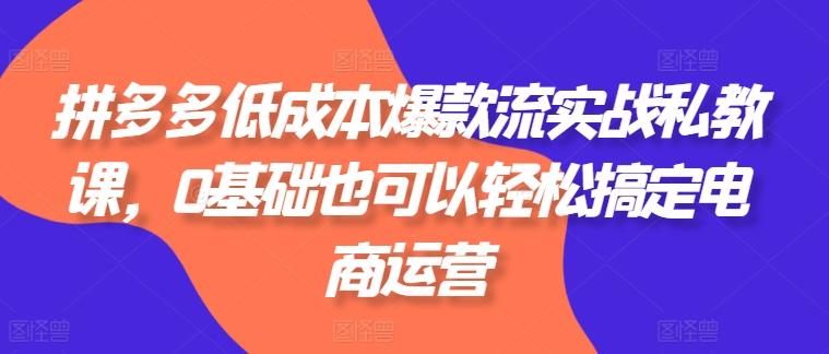 拼多多低成本爆款流实战私教课，0基础也可以轻松搞定电商运营-策里行间