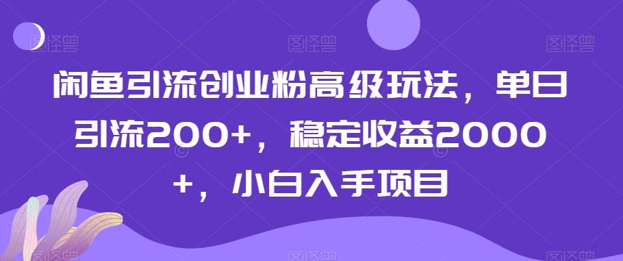 闲鱼引流创业粉高级玩法，单日引流200+，稳定收益2000+，小白入手项目-策里行间
