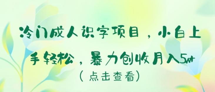 冷门成人识字项目，小白上手轻松，暴力创收月入5w+【揭秘】-策里行间