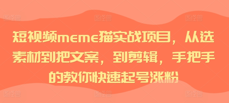 短视频meme猫实战项目，从选素材到把文案，到剪辑，手把手的教你快速起号涨粉-策里行间