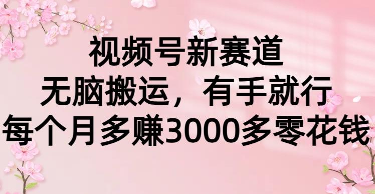 (9278期)视频号新赛道，无脑搬运，有手就行，每个月多赚3000多零花钱-策里行间
