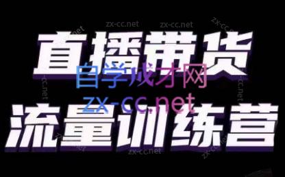 婉婉·直播带货课程系列合集(更新8月)-策里行间