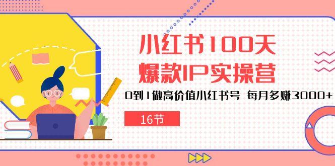 小红书100天-爆款IP实操营，0到1做高价值小红书号 每月多赚3000+(16节-策里行间