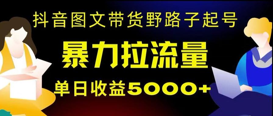 抖音图文带货暴力起号，单日收益5000+，野路子玩法，简单易上手，一部手机即可【揭秘】-策里行间