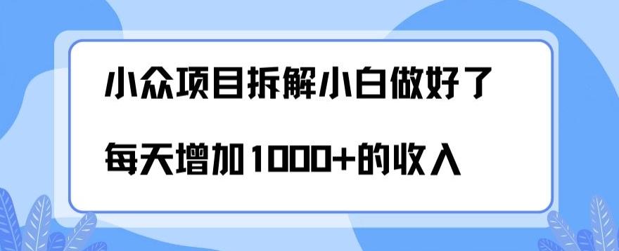 小众项目拆解，小白做好了每天可增加1000多的收入-策里行间