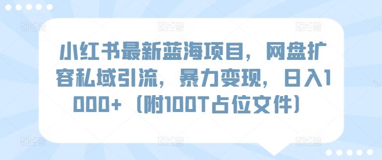 小红书最新蓝海项目，网盘扩容私域引流，暴力变现，日入1000+(附100T占位文件)【揭秘】-策里行间