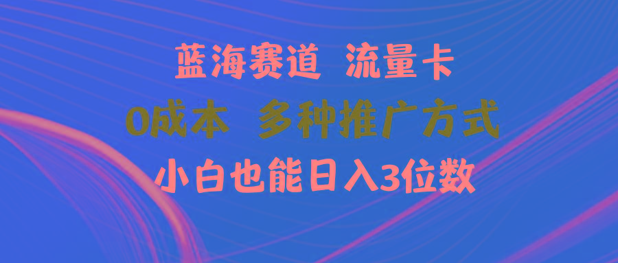蓝海赛道 流量卡 0成本 小白也能日入三位数-策里行间