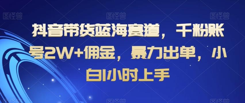 抖音带货蓝海赛道，千粉账号2W+佣金，暴力出单，小白1小时上手【揭秘】-策里行间