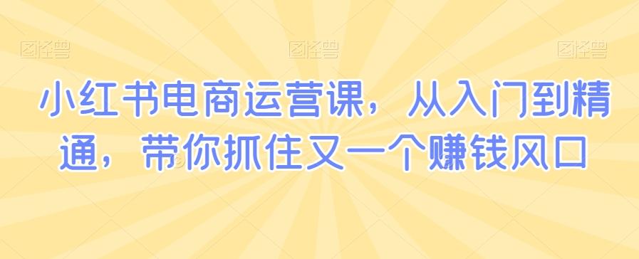 小红书电商运营课，从入门到精通，带你抓住又一个赚钱风口-策里行间