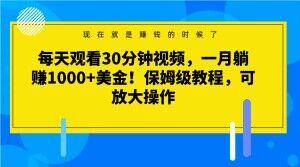 每天观看30分钟视频，一月躺赚1000+美金！保姆级教程，可放大操作【揭秘】-策里行间