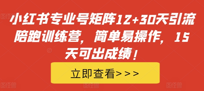 小红书专业号矩阵12+30天引流陪跑训练营，简单易操作，15天可出成绩!-策里行间
