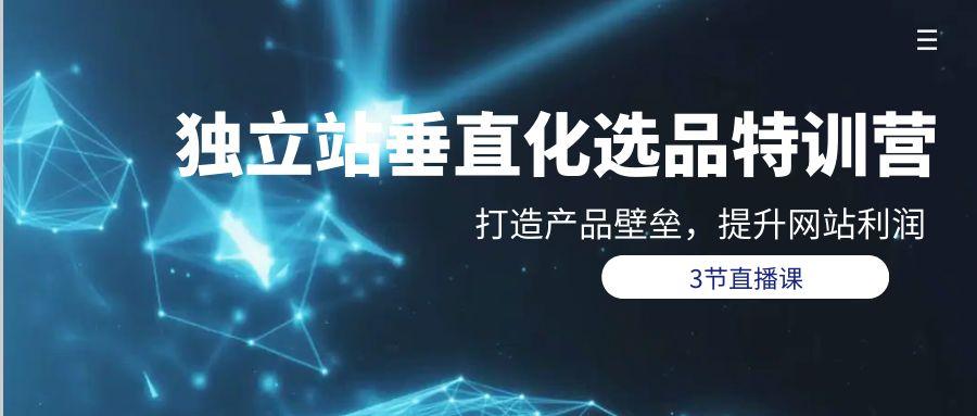 (9925期)独立站-垂直化选品训练营，打造产品壁垒，提升网站利润(3节直播课)-策里行间