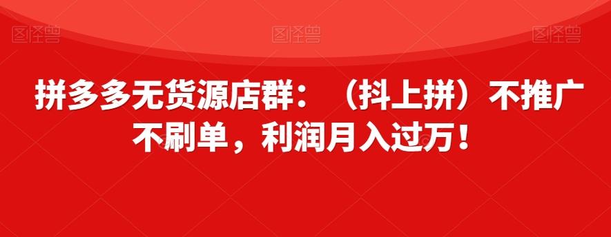 拼多多无货源店群：（抖上拼）不推广不刷单，利润月入过万！【揭秘】-策里行间