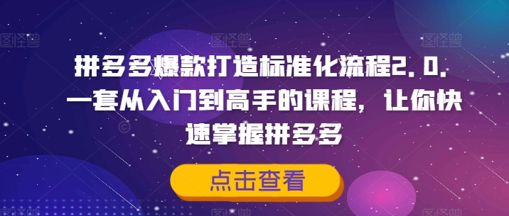 拼多多爆款打造标准化流程2.0，一套从入门到高手的课程，让你快速掌握拼多多-策里行间