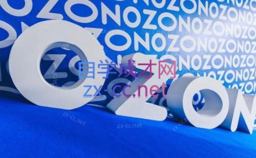 森哥·出海俄罗斯电商实操(2024)-策里行间