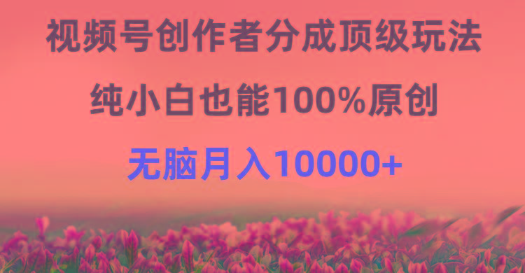 (9608期)视频号创作者分成顶级玩法，纯小白也能100%原创，无脑月入10000+-策里行间